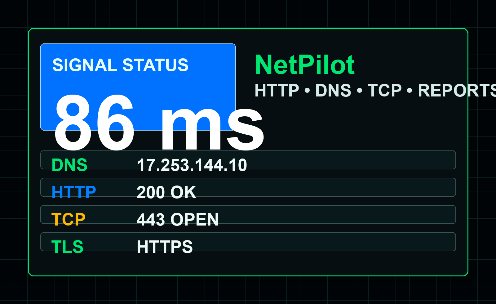 NetPilot workspace preview